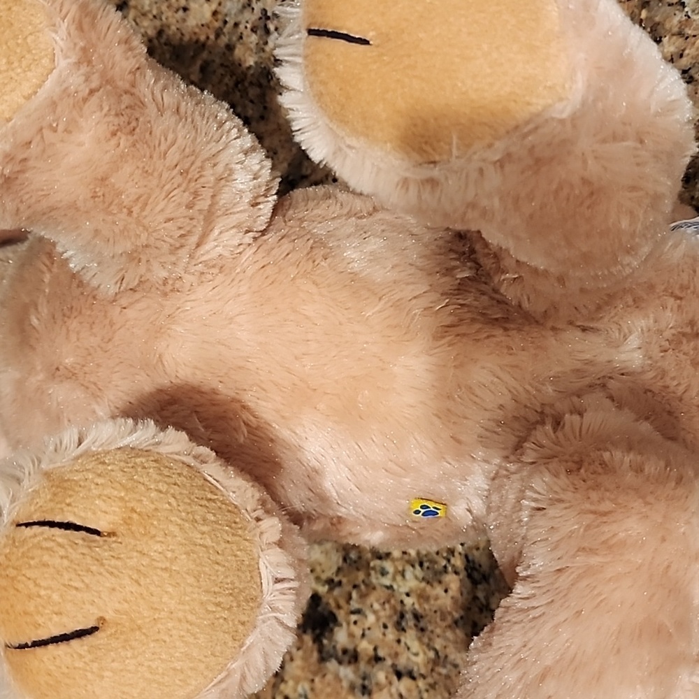 Build-A-Bear Yellow Lab - Picture 4 of 6
